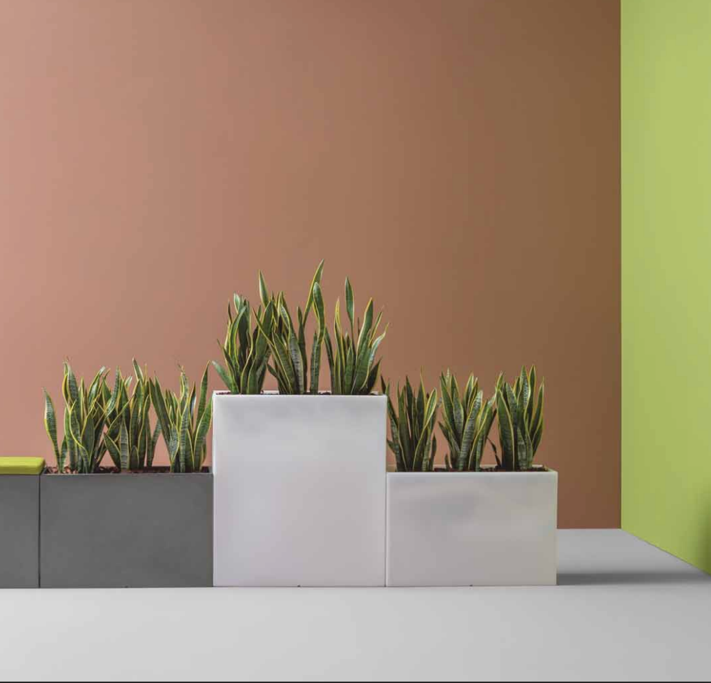 Neutral or Bold? How to Choose the Perfect Color Palette for Every Room in Your Phuket Home