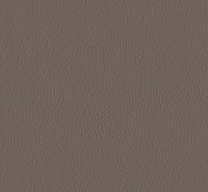 Galea_leather_C4S_marmot