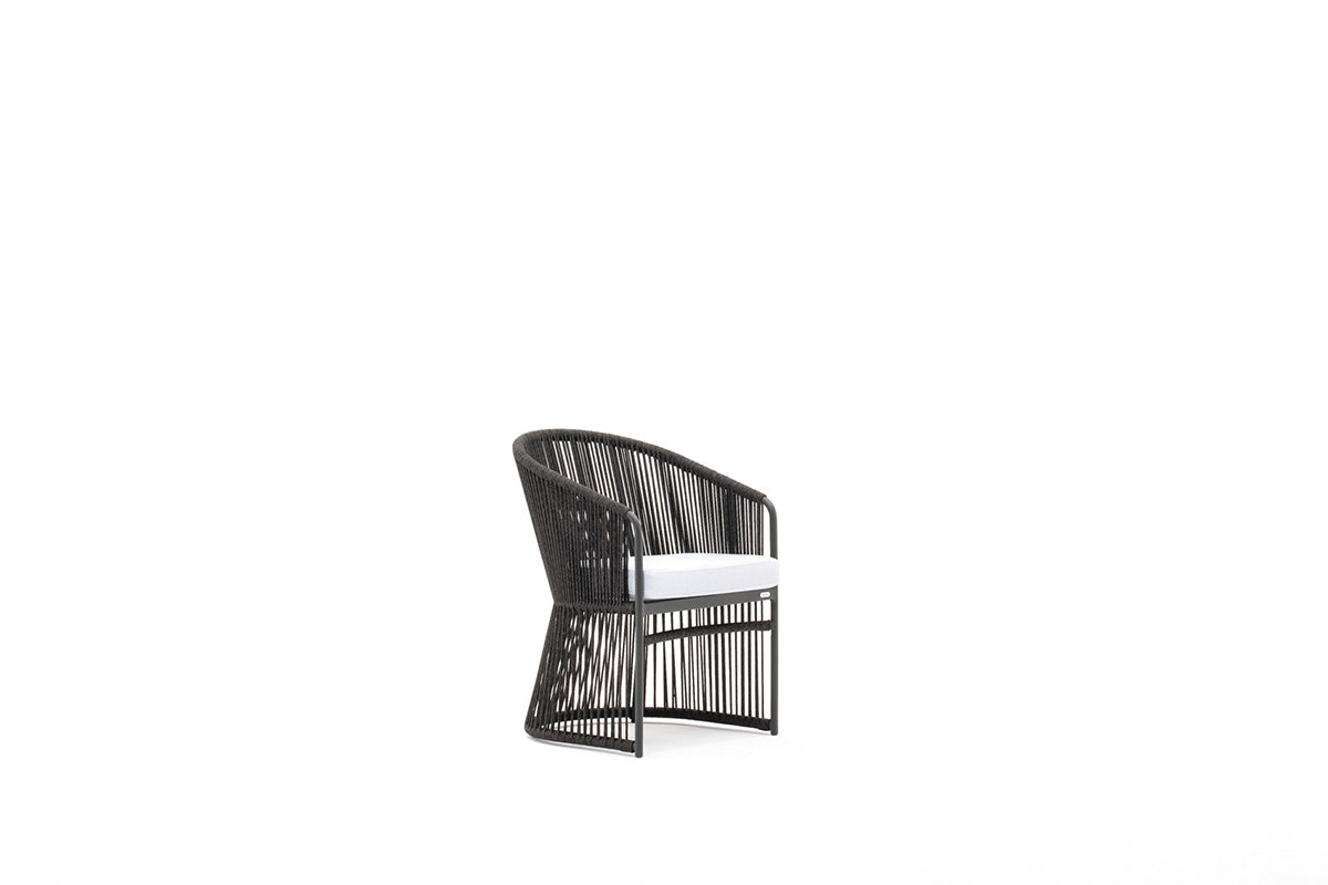 Tibidabo Dining Armchair